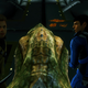 Illustration for article titled Play emStar Trek/em With a Friend or Be Lonely emand/em Disappointed